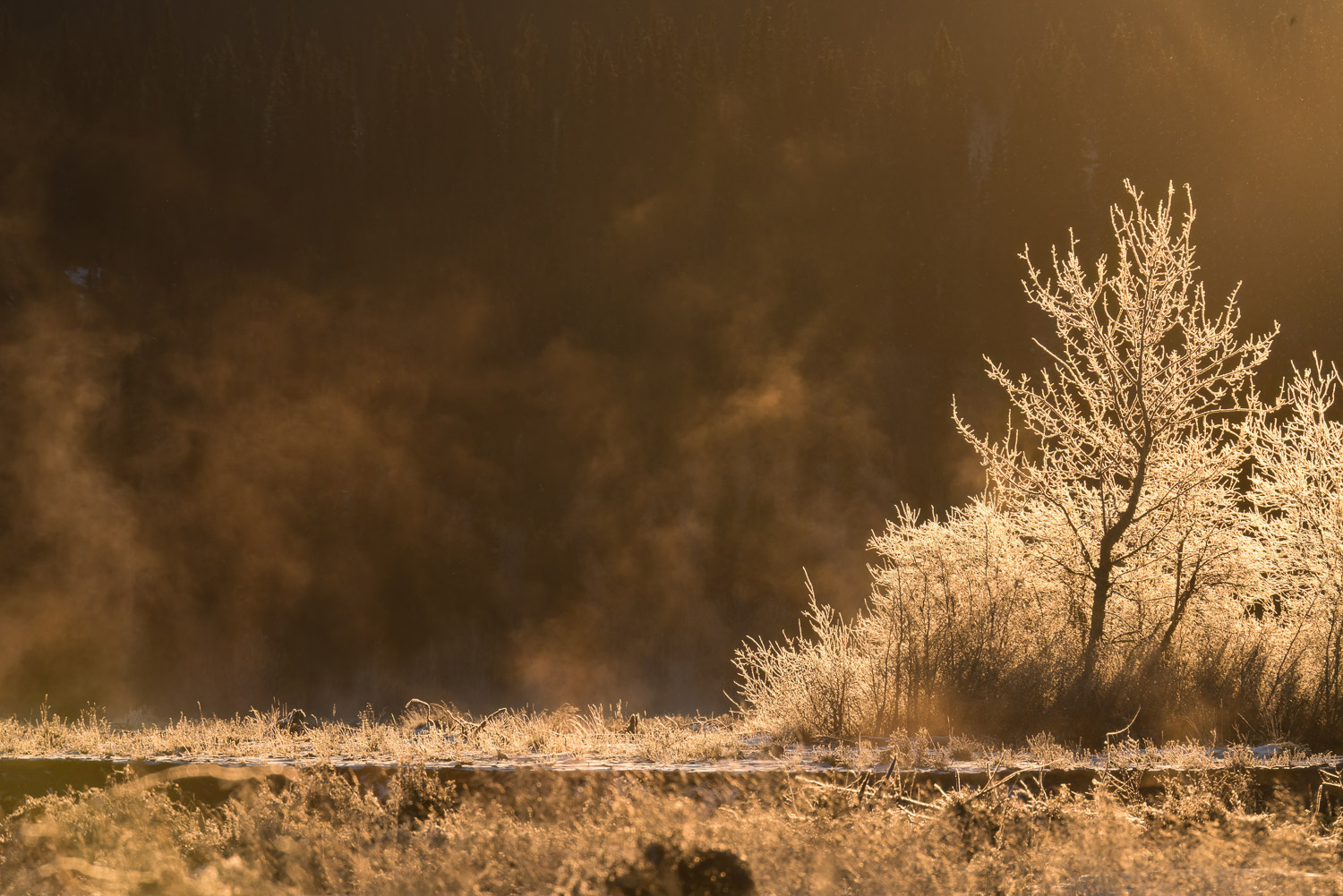 Steamy sunrise over the Kluane river