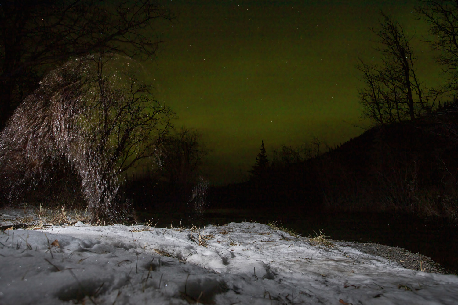 A ghosting bear but with a fint northern light in the background